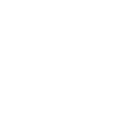 CCTV Icon