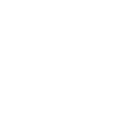 Router Icon