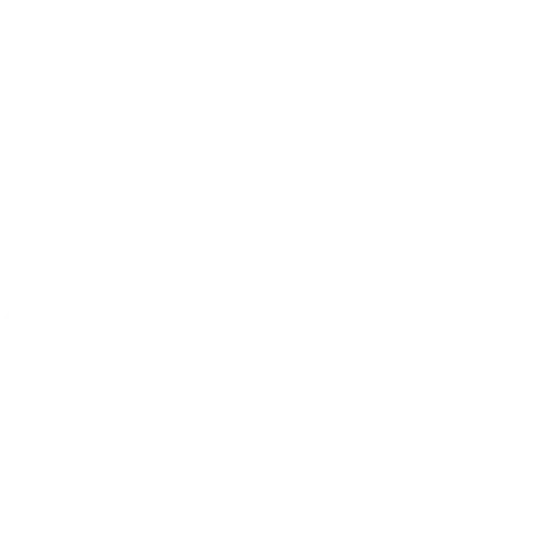 WiFi Icon