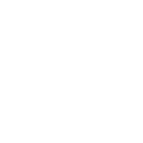 Wires Icon